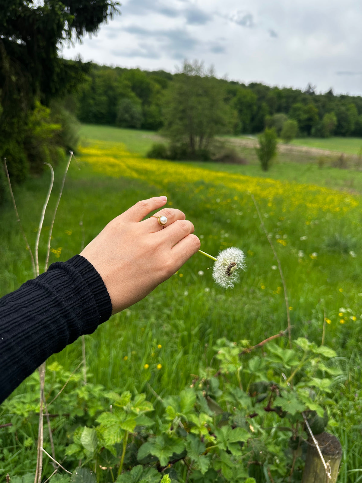 Ring Einzelperle – Süßwasser