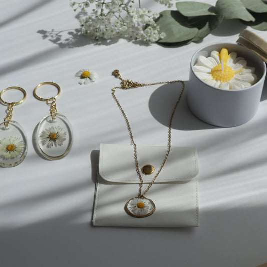 Gänseblümchen Frühlingsbox Geschenkset